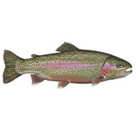 Риболов на пъстърва