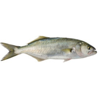 Риболов на лефер